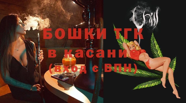 молекула духа Осташков