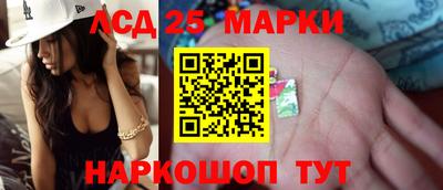 гашик Донецк