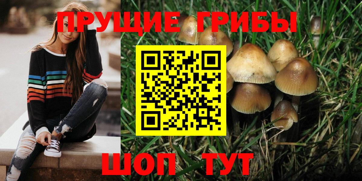 Меф мяу мяу Черняховск