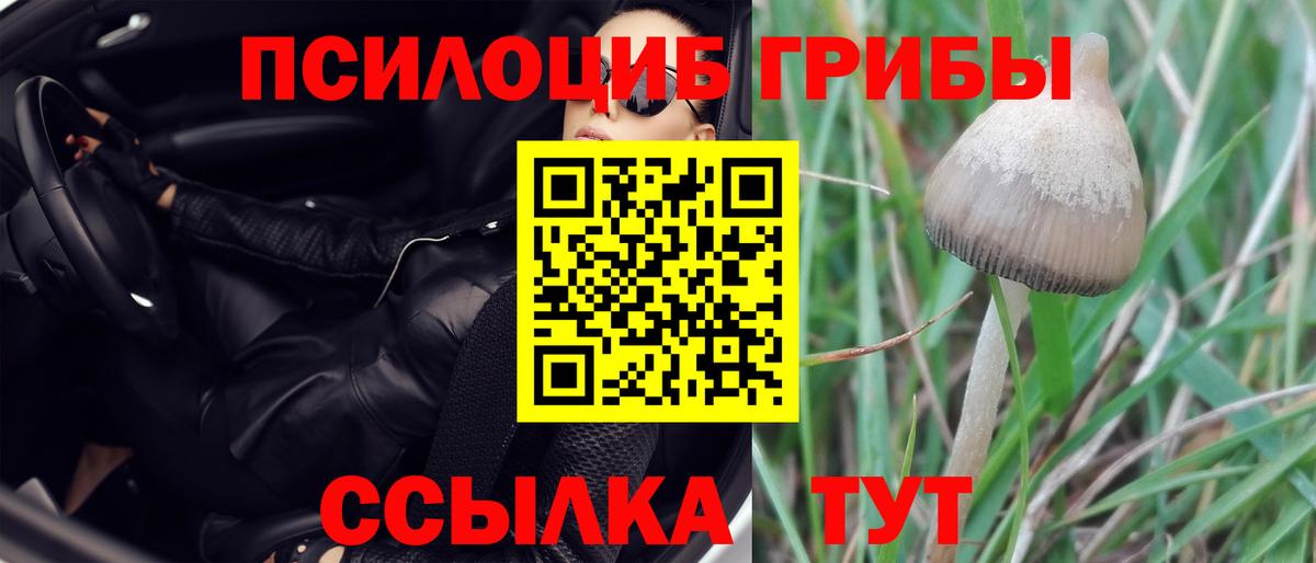 Галлюциногенные грибы MAGIC MUSHROOMS Черняховск